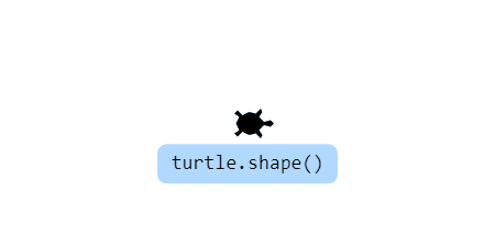 turtle-action